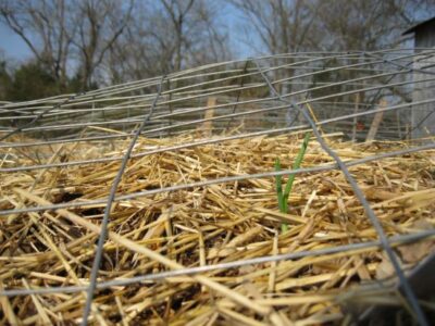 The Joy of Physical Labor Image